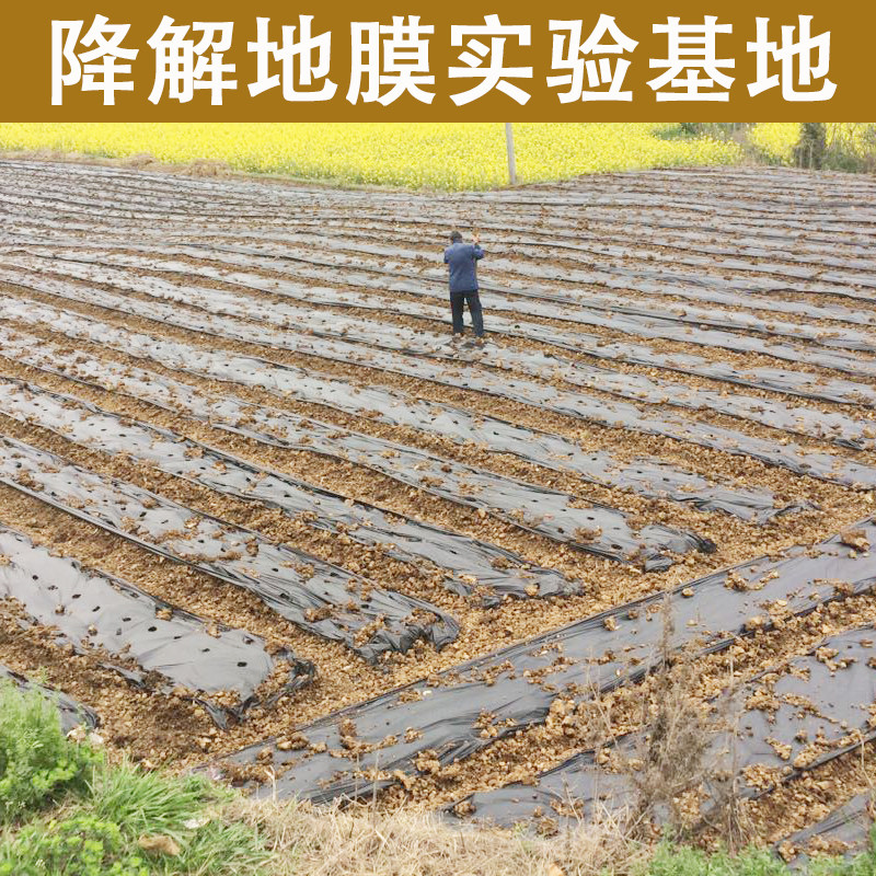 全生物降解薄膜农用育苗白膜黑膜防寒保温地膜加厚可降解农膜,农机/农具/农膜,农用薄膜,淘宝优惠券,粉丝福利购,淘宝优惠卷