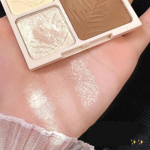 4 Colors Highlighter Contour 3D Facial Bronzer Cosmetic Brig