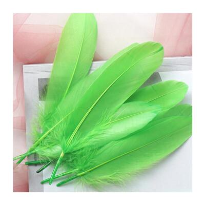Natural Goose Feathers Plumes 1520cm Colourful Swan Feather