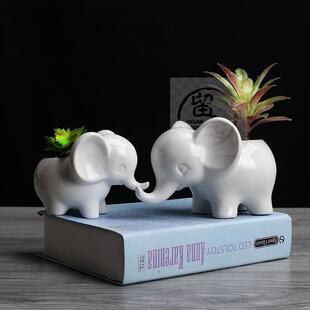 。Simple outdoor gardening fleshy flowerpot elephant ceramic