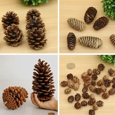 10pcs 1-18CM pine cone Christmas pendant prop Dried flower