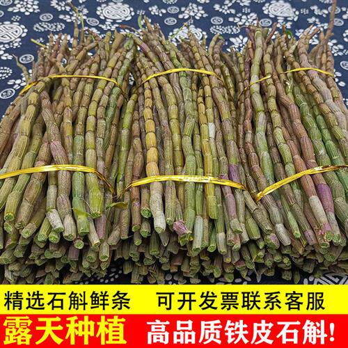 正品铁皮石斛鲜条500g中药材枫斗三四五年生基地霍山新干花粉