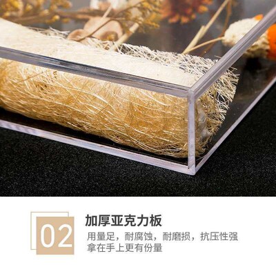 Ins Acrylic Transparent Photo Frame Forever Flower Dried Flo