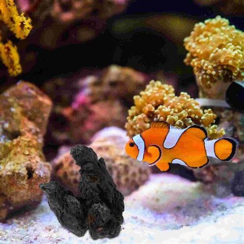 Aquarium Stone Ornaments Simulation View Rocks Realistic