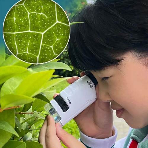 Pocket Microscope Kids Science Toy Kit 60-120x Educational M