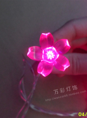 LED彩灯串灯闪灯 庭园装饰彩灯 婚庆装饰彩灯 LED桃花串灯防水