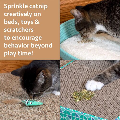 Premium Natural Catnip Cat toys Organic Cat nip