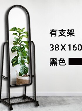 Movable Full Length Mirror  Wheels Dressing Standing Holder