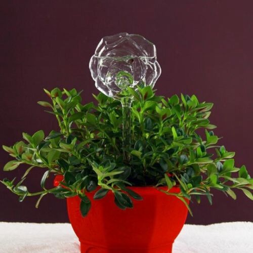 6 Types Glass Plant Flowers Water Feeder Automatic Self Wate