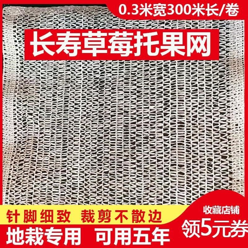 草莓托果网草莓隔离网高架托果网支架白色遮阳网大棚地栽果托网,农机/农具/农膜,农用防虫网,淘宝优惠券,粉丝福利购,淘宝优惠卷