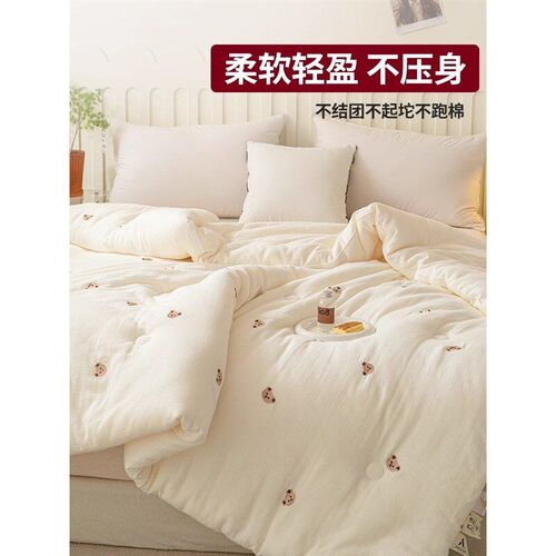 2025 summer quilt/comforter/blanket/quilts/duvet /blankets