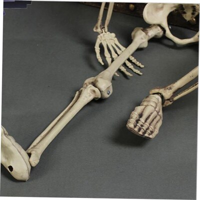 Halloween artificial plastic skeleton props display骷髅架01