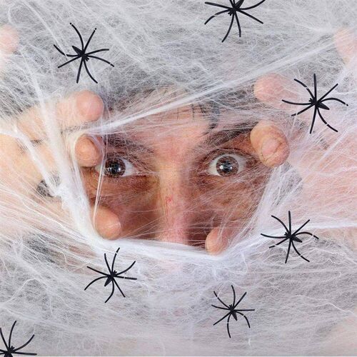 Super Real Spider Web Fake Spider Halloween Artificial Terro