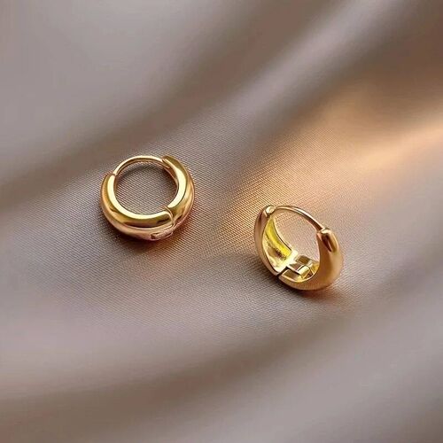 2Pcs Elegant Stainless Steel Hypoallergenic French Hoop Earr