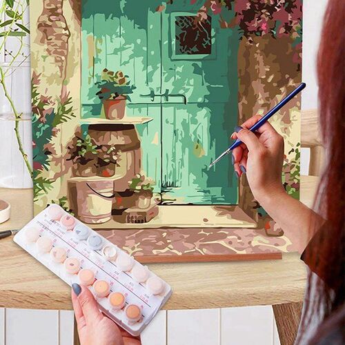Paint By Numbers For Adults Beginner Blue Door With Flower,A