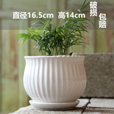 flowerpot ceramic simple large indoor plant pot with tray
