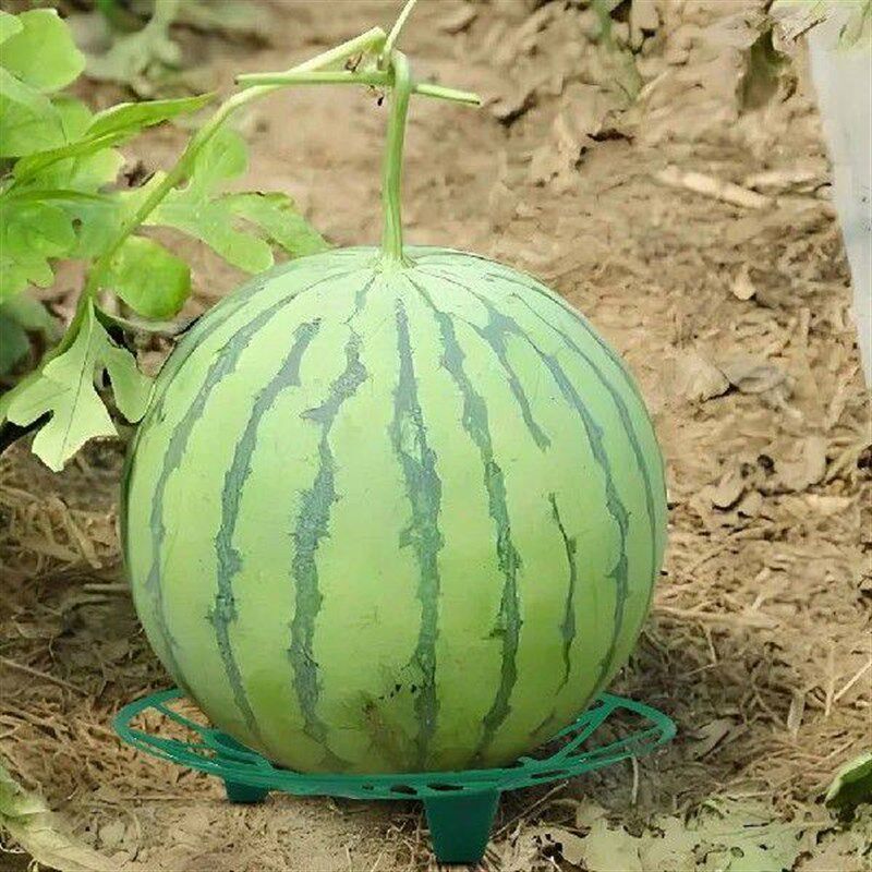 5/10Pcs Watermelon Cradle Anti-Corrosion Fruits Vegetables