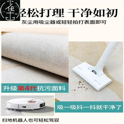 Winter Carpet Rugs Plush Carpets Living Room Bedroom Mats 毯
