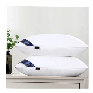 枕头 2pcs sleeping pillow bed set  health care big double