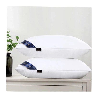 枕头 2pcs sleeping pillow bed set  health care big double