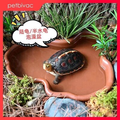 Amphibious Turtle Bowl Amphibious Semi-Aquatic Turtle Tank Y