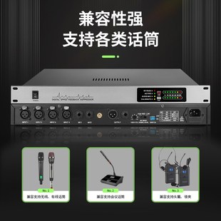 全自动无线话筒一键防啸叫反馈抑制器ktv舞台会议家用演出效果器