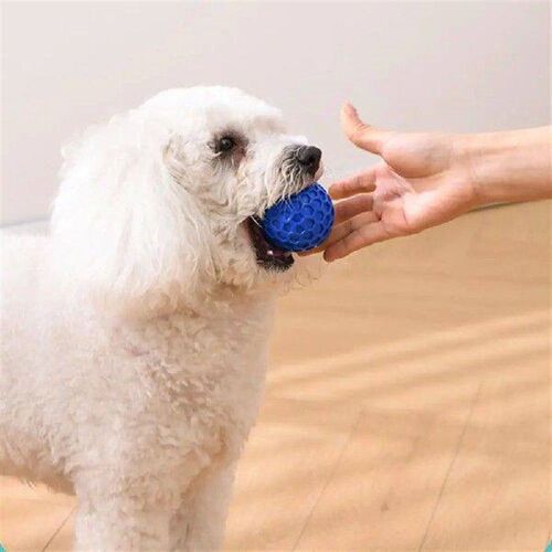 Dog Toys Bite Resistant Interactive Throwing Sound