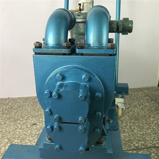 3V防爆大功率抽油泵2 油桶泵 寸大流量齿轮油泵柴油泵手推式