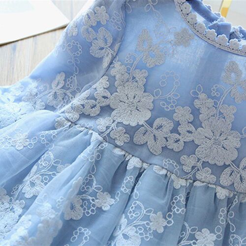 Winter Autumn Girl Lace Embroidery Long Sleeve Dress Childre