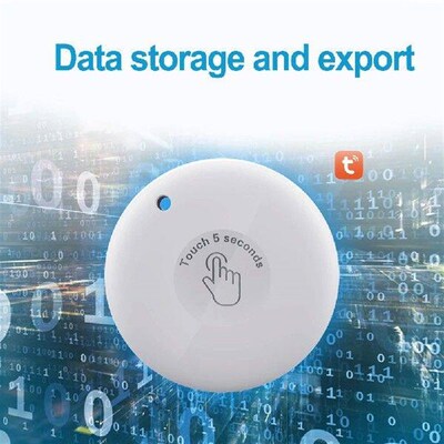Smart Temperature Humidity Meter PT216B Wall Hanging White