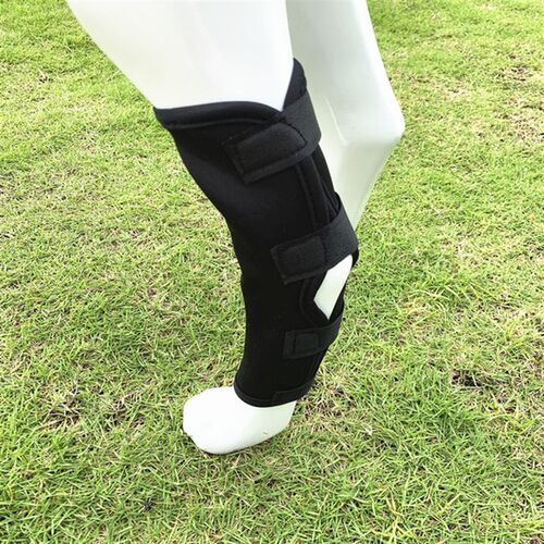 Pet Knee Pad Dog Support Brace For Leg Injury Recover Hock