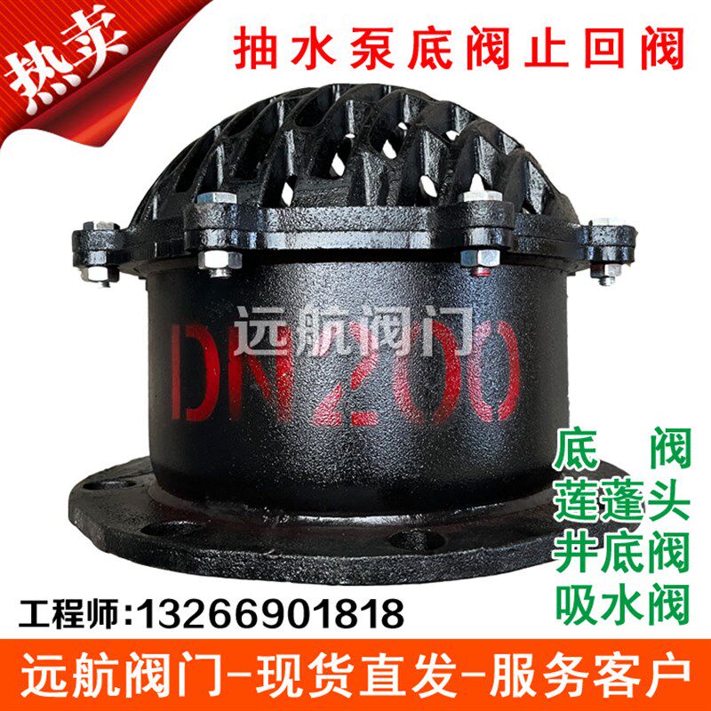 H42X法兰底阀止回阀 抽水泵吸水海底阀莲蓬头DN50 80 100 150 200