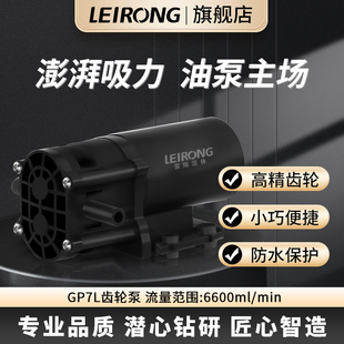 雷熔微型大流量GP7L齿轮泵工业水泵自吸增压抽油脂灌装 耐高温腐蚀