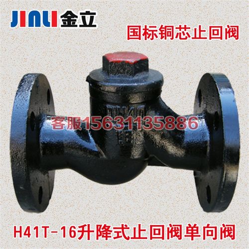 H41T-16升降式止回阀 法兰逆止阀单向阀DN25 40 50 65 80 100 150