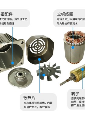 百力盛220V 6W 微型交流异步齿轮调速定速减速电机可逆马达