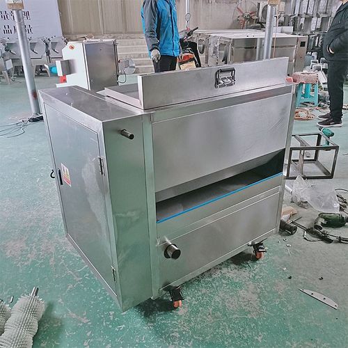 土豆地瓜去皮机商用瓜果蔬菜清洗机不锈钢毛刷洗萝卜猪头猪蹄去黑