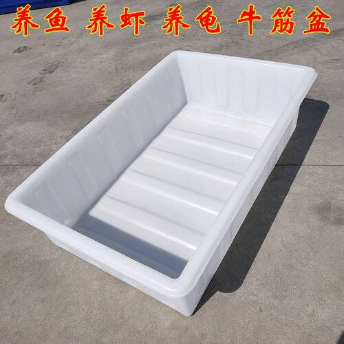 加厚牛筋水箱塑料水箱长方形水产养殖箱卖鱼养鱼水箱牛筋盆储水桶