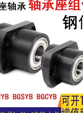 双轴承座组件BGCYB带座轴承BGCY轴承固定座BGCY轴承座紧凑型BACY