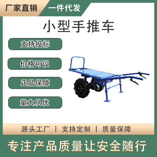果园大棚搬运平板车家用小型电动手推车装修上料进电梯充电小推车