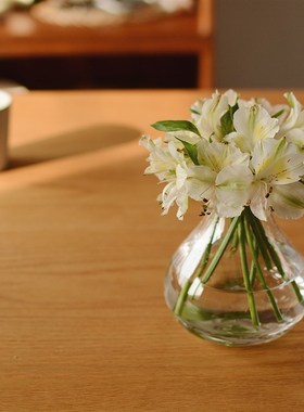 收集时光 Cmus sy水滴玻璃花瓶 手工吹制 短梗花材适用