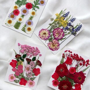 Dried Flower Set 16-19PCS Pack Pressed Real Natural Flowers