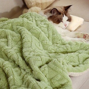 Cat pet blanket warm flannel green cat dog blanket small bla