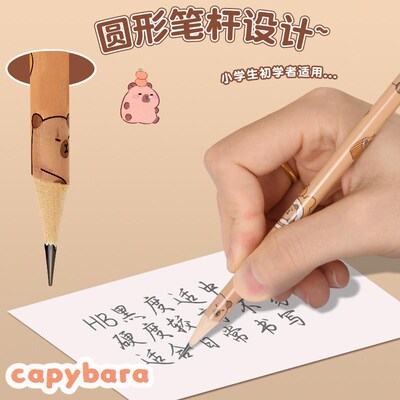 capybara文具writing pencils box kits stationary 卡皮巴拉铅笔