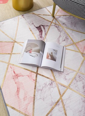 Carpets for Living Room Decoration Washable Floor Lounge Rug