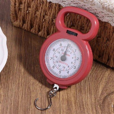 1PC Mini Pointer Hook Spring Hanging Scale Portable Fishing