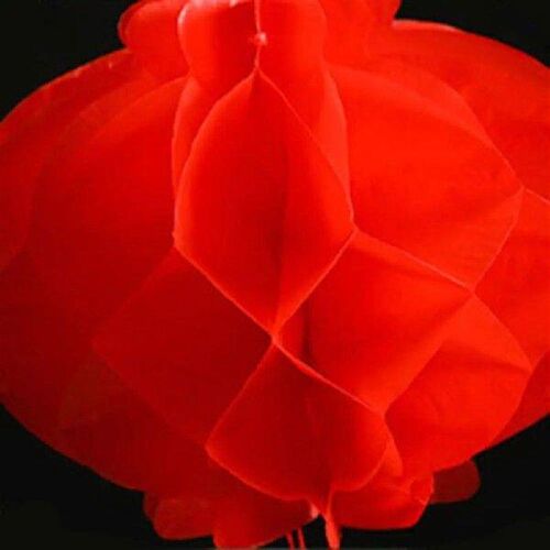 10pcs Cellular 2025 Chinese New Year Red Lantern with