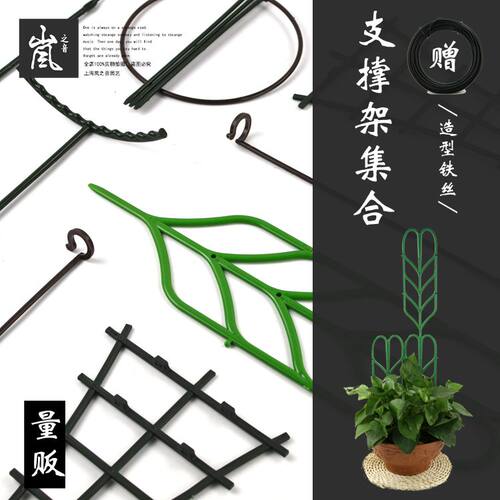 小支架集合 园艺塑料支撑架 蝴蝶兰 蟹爪兰 绿植花卉攀爬