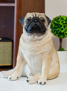家居饰品创意欧式客厅装饰品摆件仿真狗玄关酒柜电视柜工艺品摆设