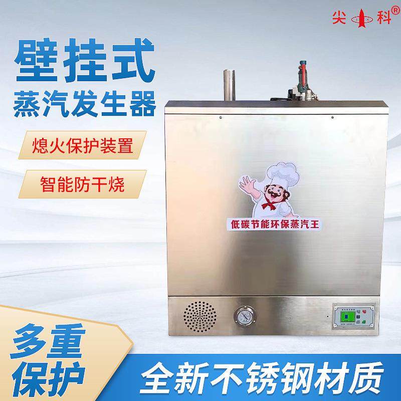 燃气蒸汽发生器 壁挂式燃气蒸汽发生机 蒸汽机燃气蒸汽机家用锅炉