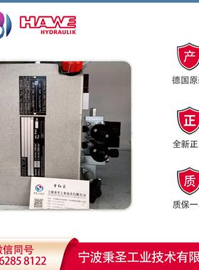 哈威高压泵 HAWE柱塞泵 R15.3-15.3-15.3-15.3A 德国产 有报关单